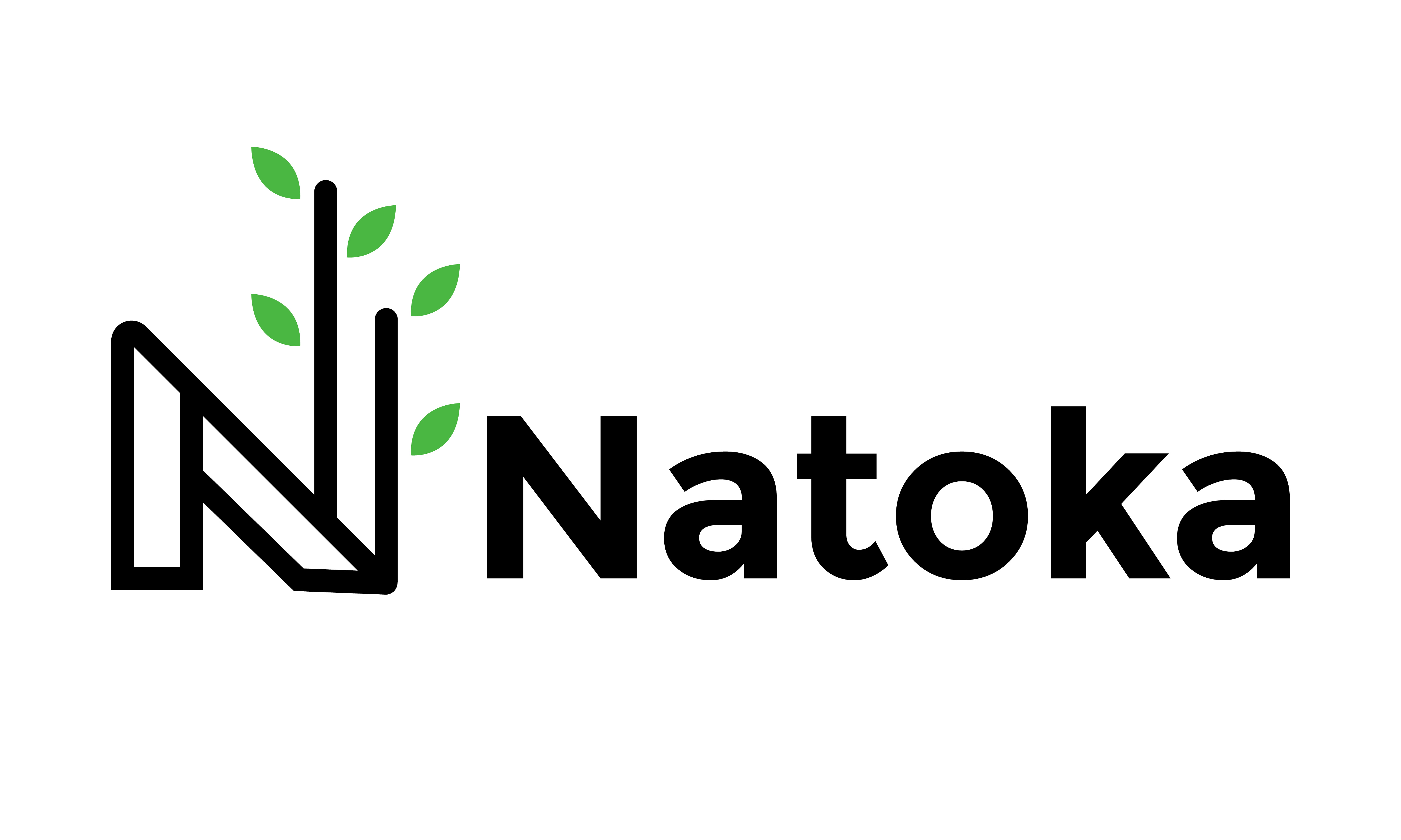 Natoka logo